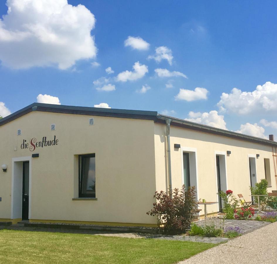 Die Senfbude - Klein Aber Fein - Wunderschoenes Studio-Apartment Mit Terrasse Und Stellplatz Leipzig Exteriör bild